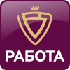 project icon